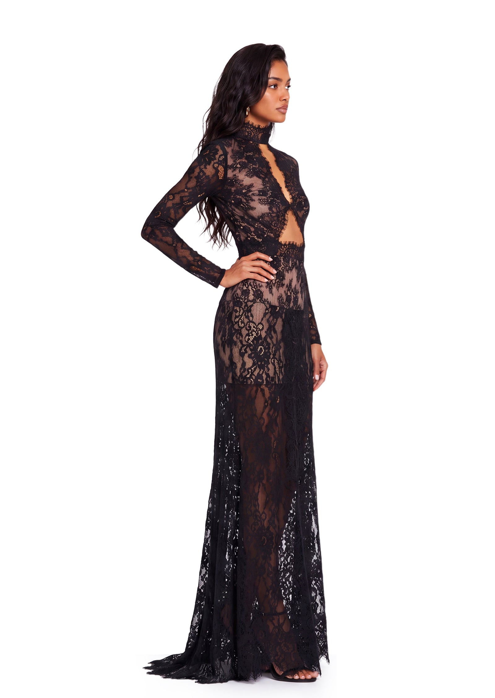 Xerxes Lace Sheer Maxi Dress In Black
