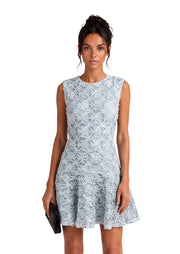 Aris Sleeveless Mini Dress