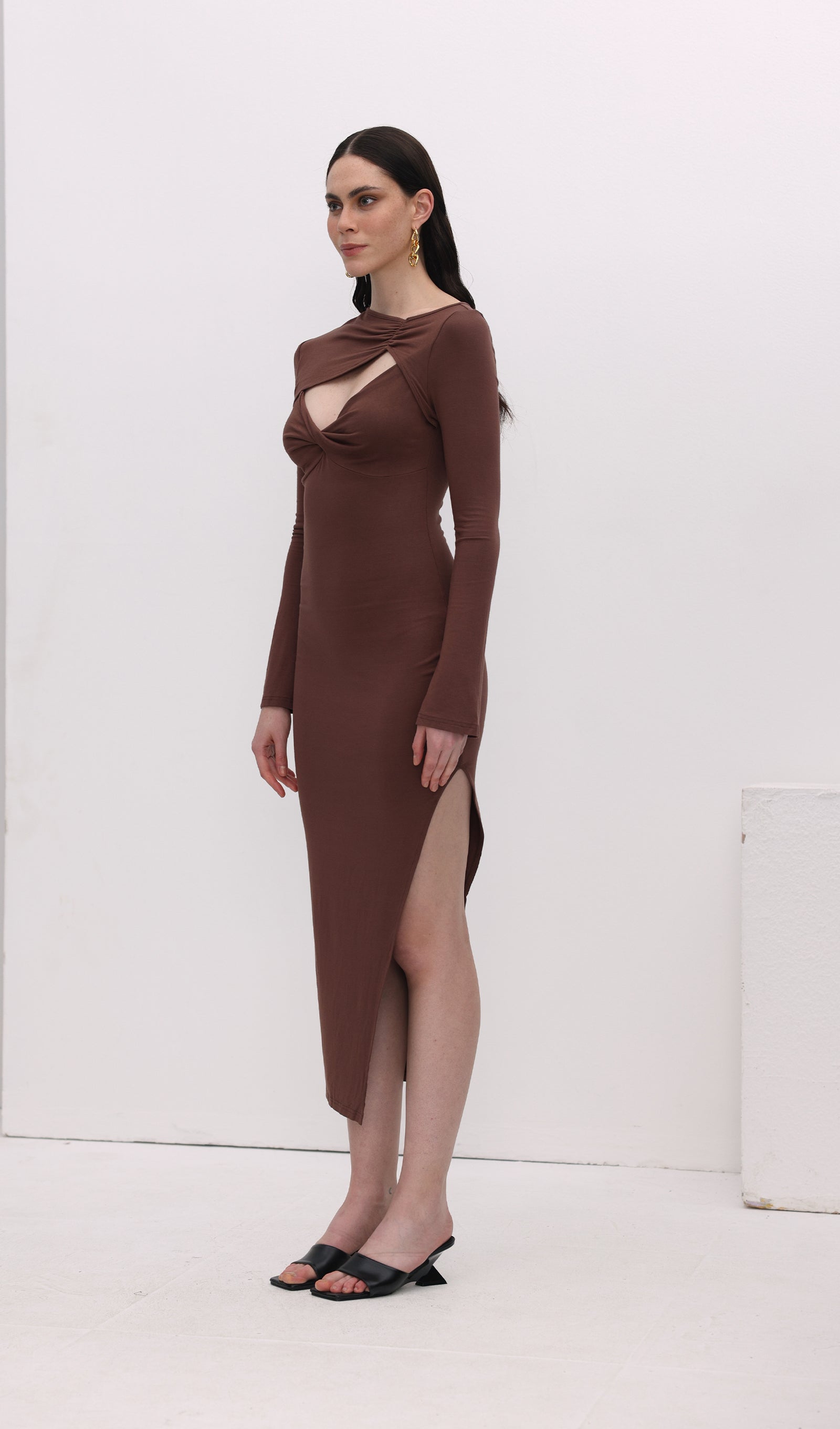 Midikleid in A-Linie mit Blumenmuster und Laternenärmeln