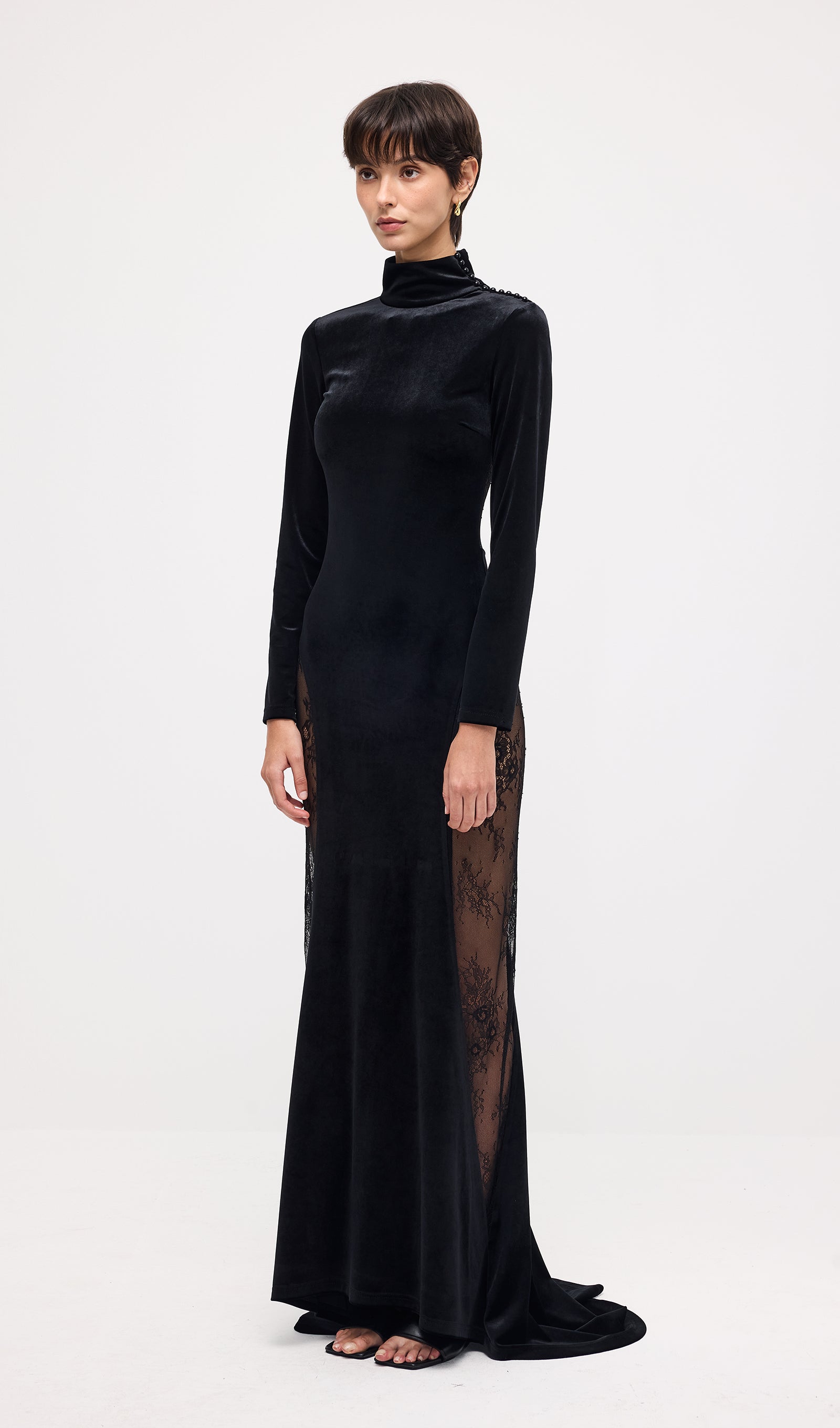 Semi-Sheer Lace Velvet Maxi Dress