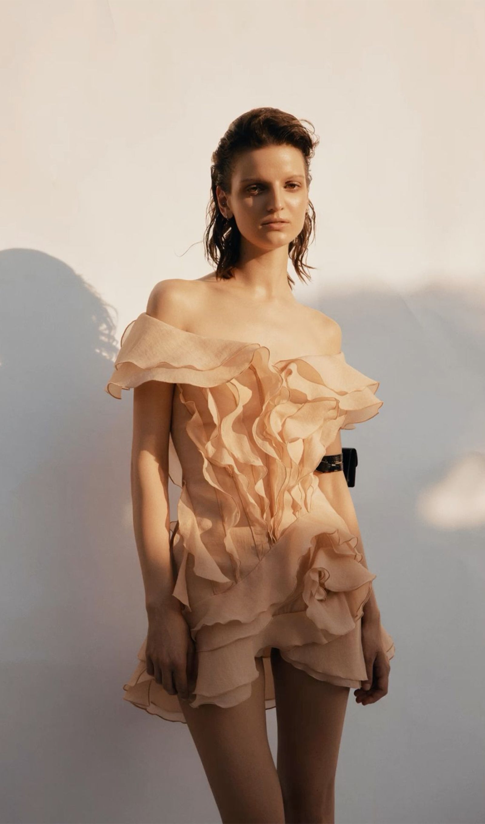 Layered Ruffled Mini Dress