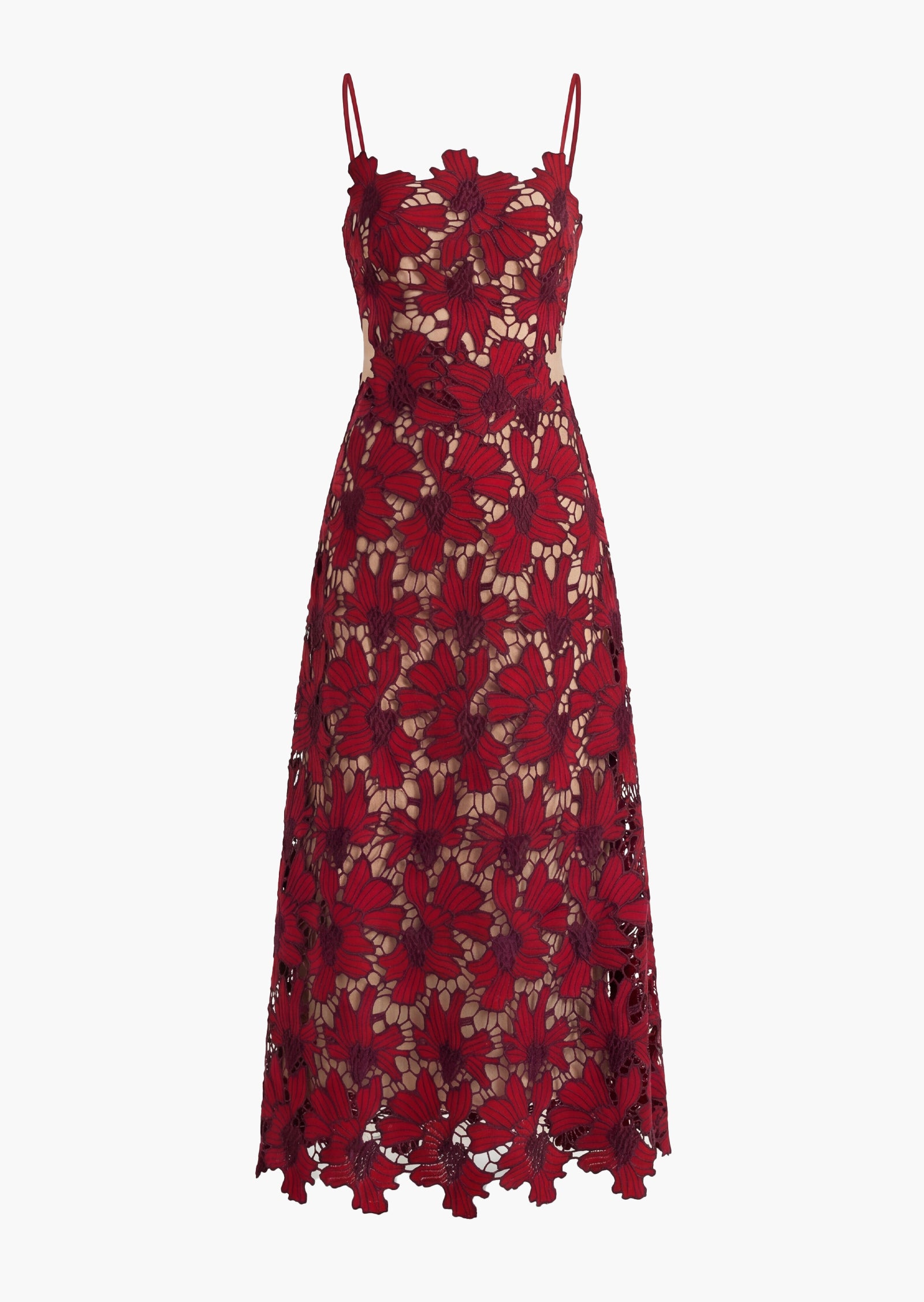 Luxie Lace Midi Dress In Red
