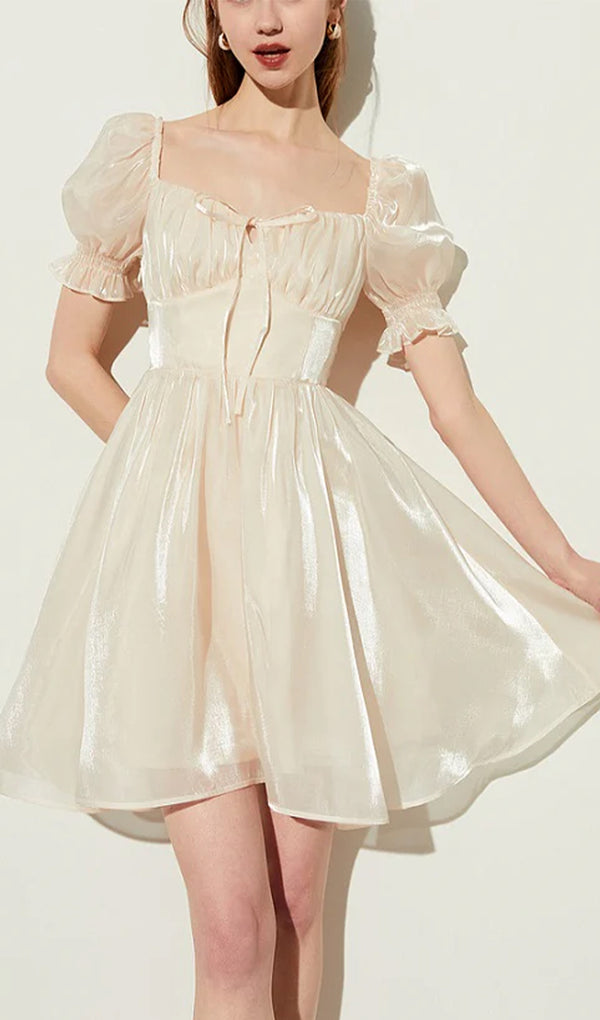 Satin Chiffon Mini Dress