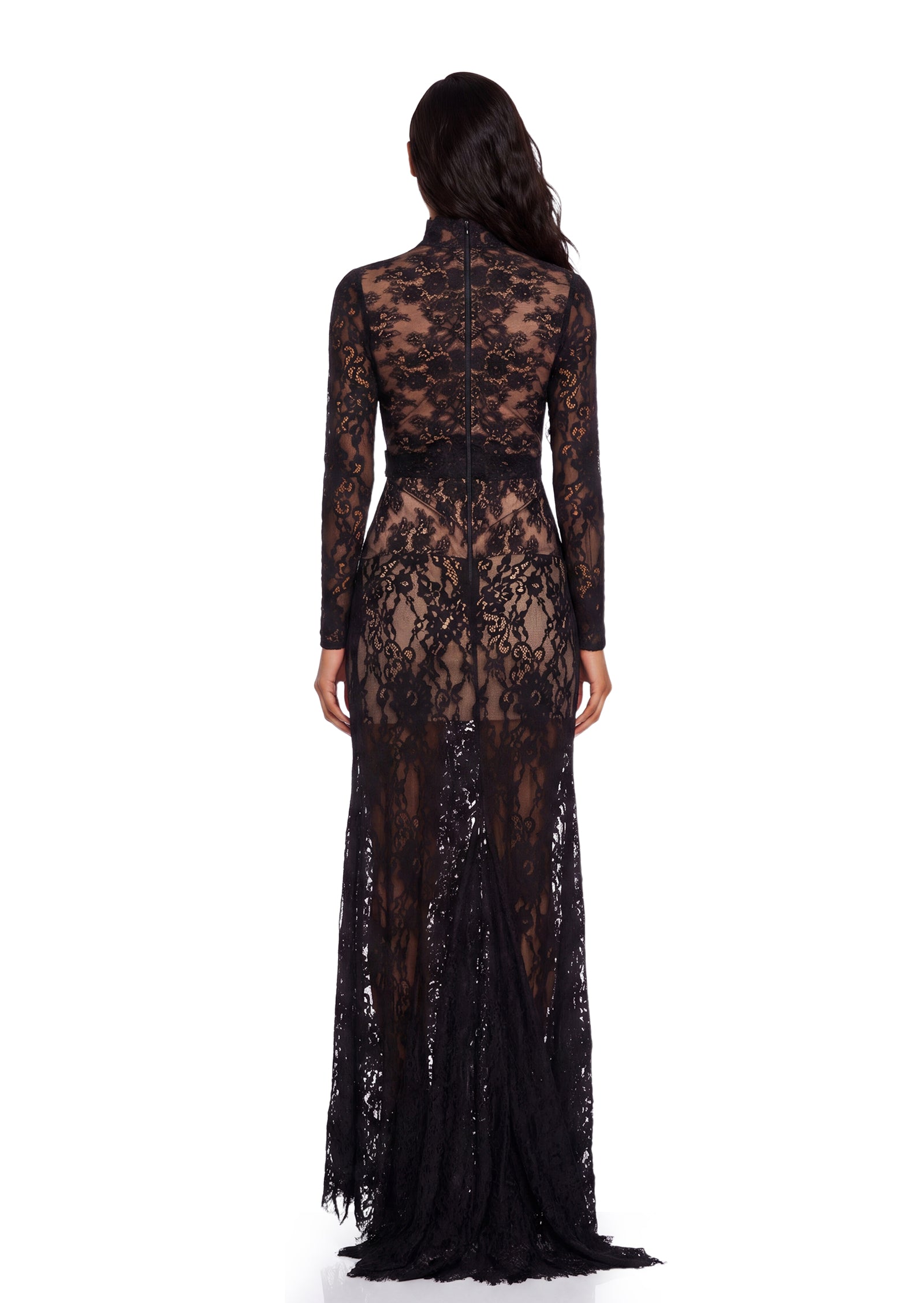 Xerxes Lace Sheer Maxi Dress In Black