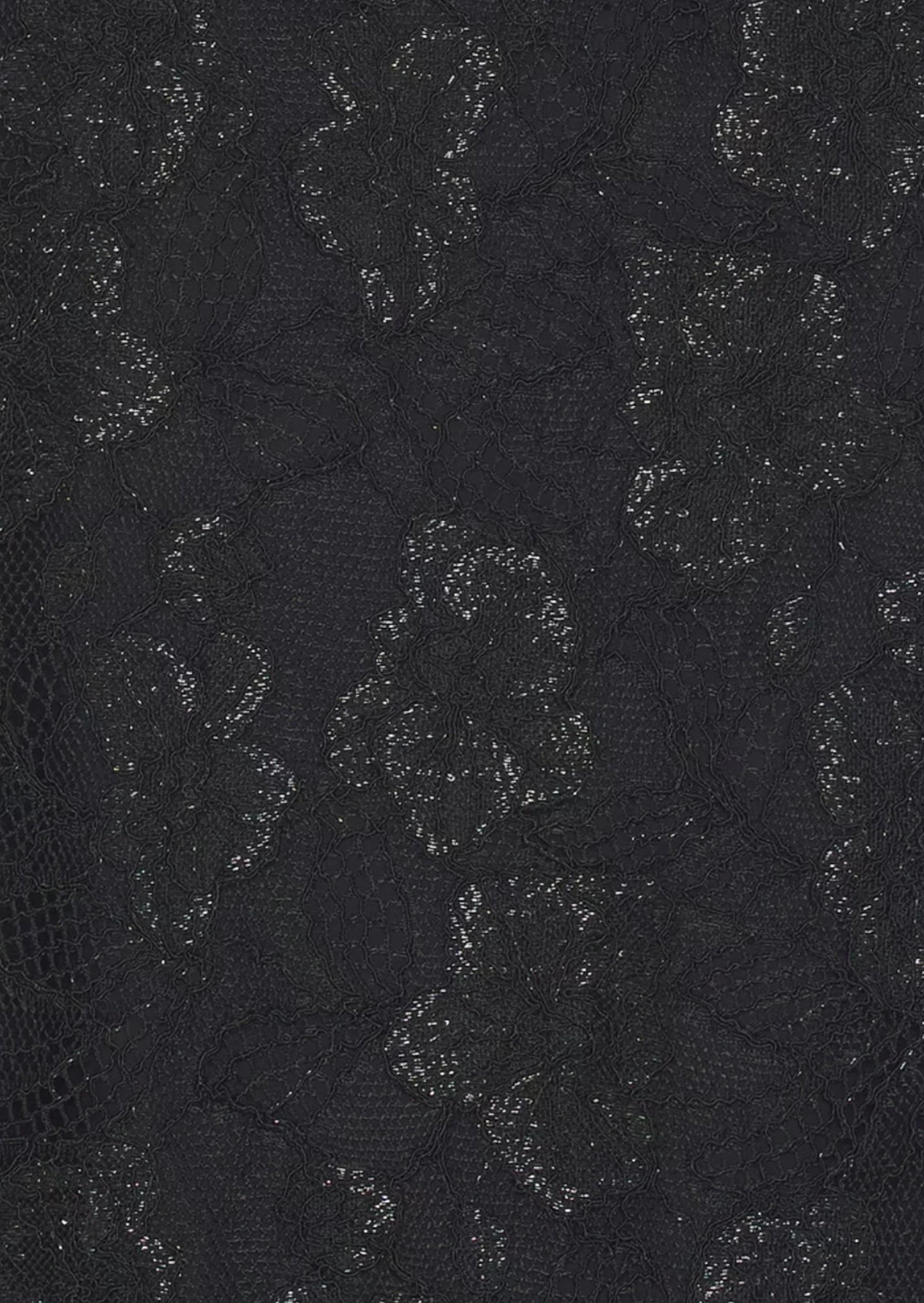 Leehu Lace Sheer Maxi Dress In Black