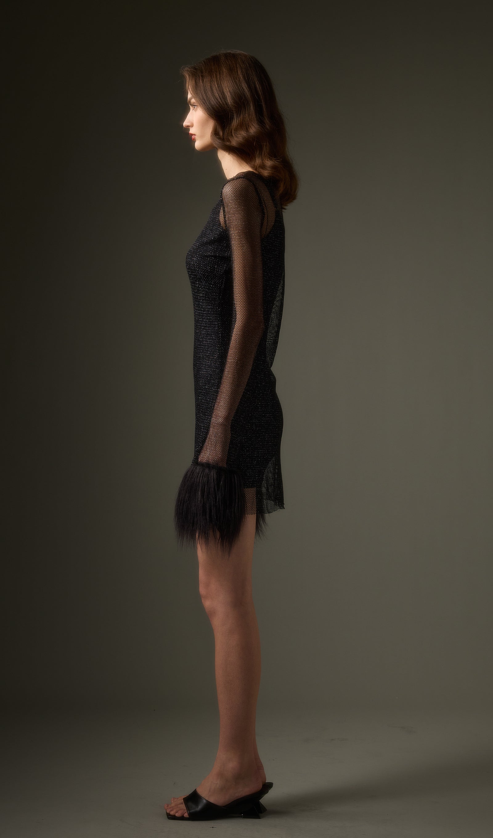 Sheer  Mini Dress in Black (Final Sale-US Only)