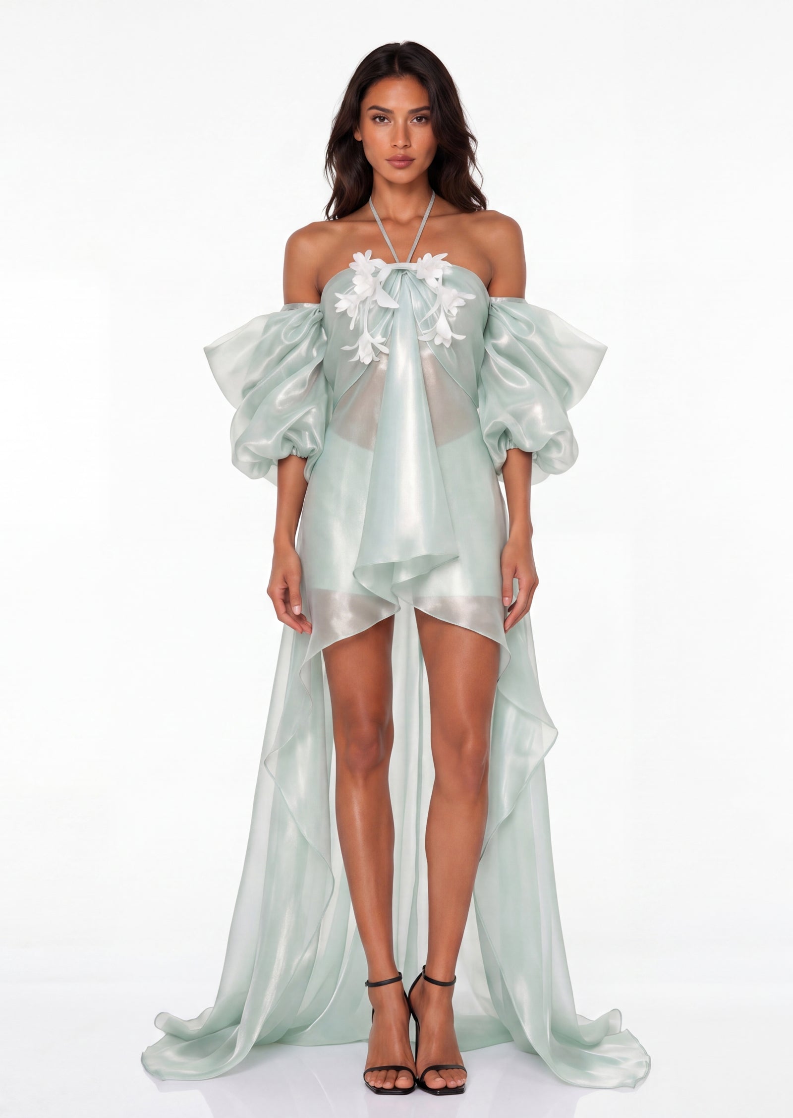 Cornelia Organza Sheer Maxi Dress