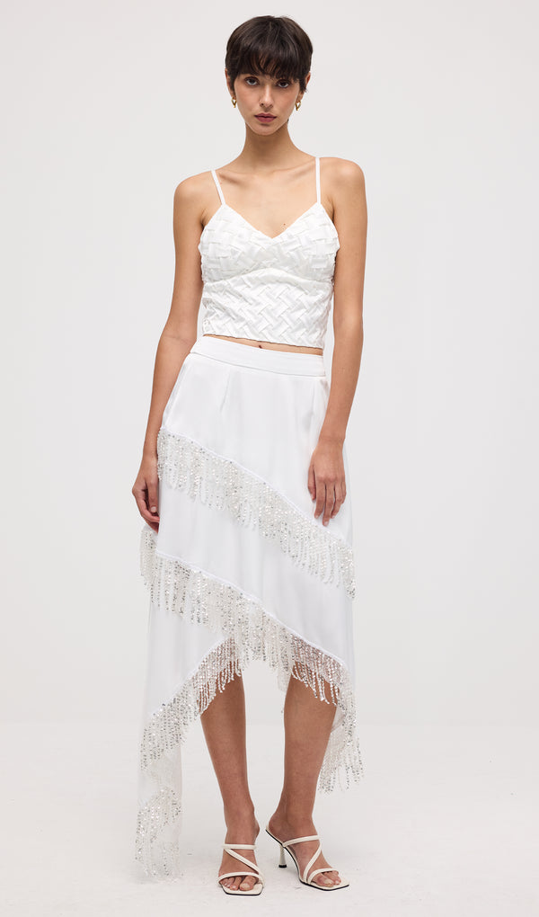 Crop Top & Sequined Tassel Skirt