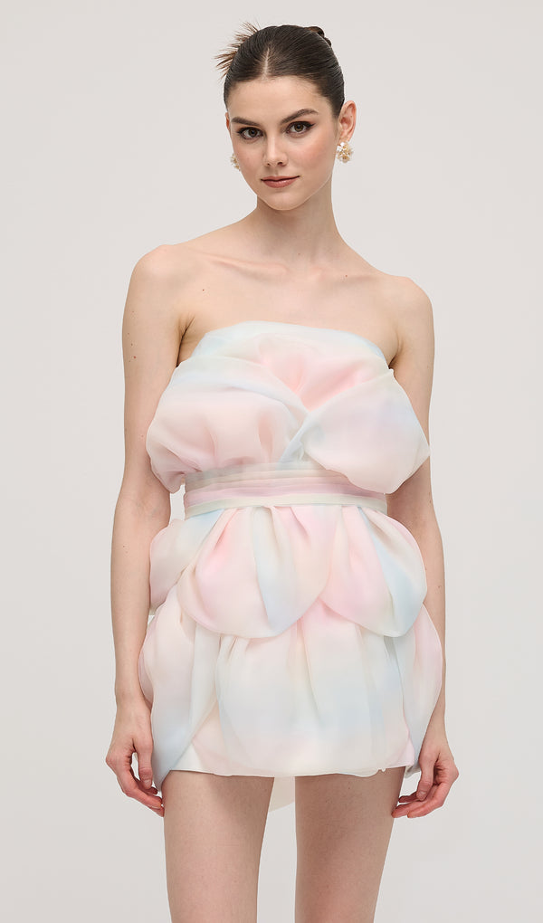 Flower Bud Rainbow Mini Dress