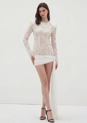 Sequin Embellished Lace Mini Dress