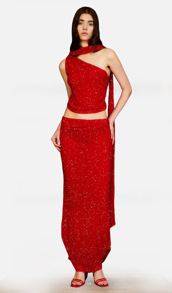 Sequined Beaded Embroidered Top & Maxi Skirt