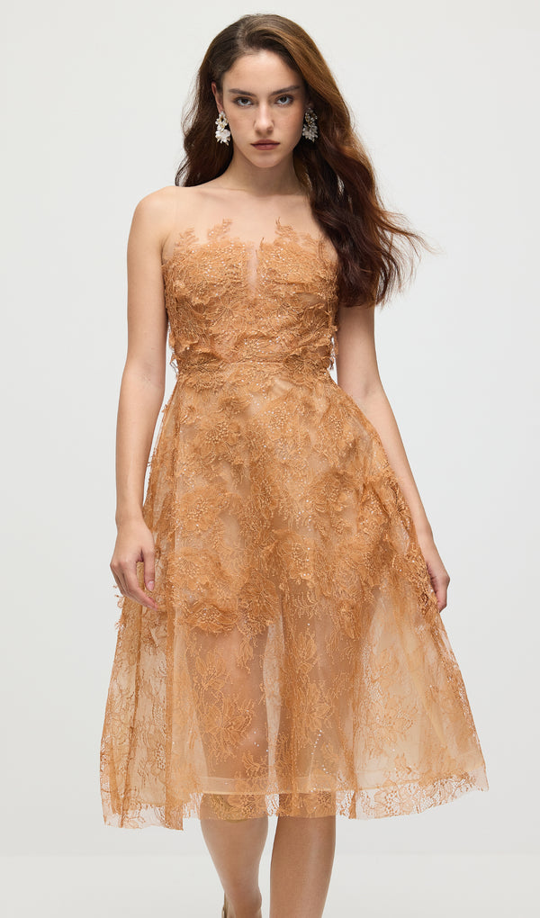 Sleeveless Embroidered Sequin Midi Dress