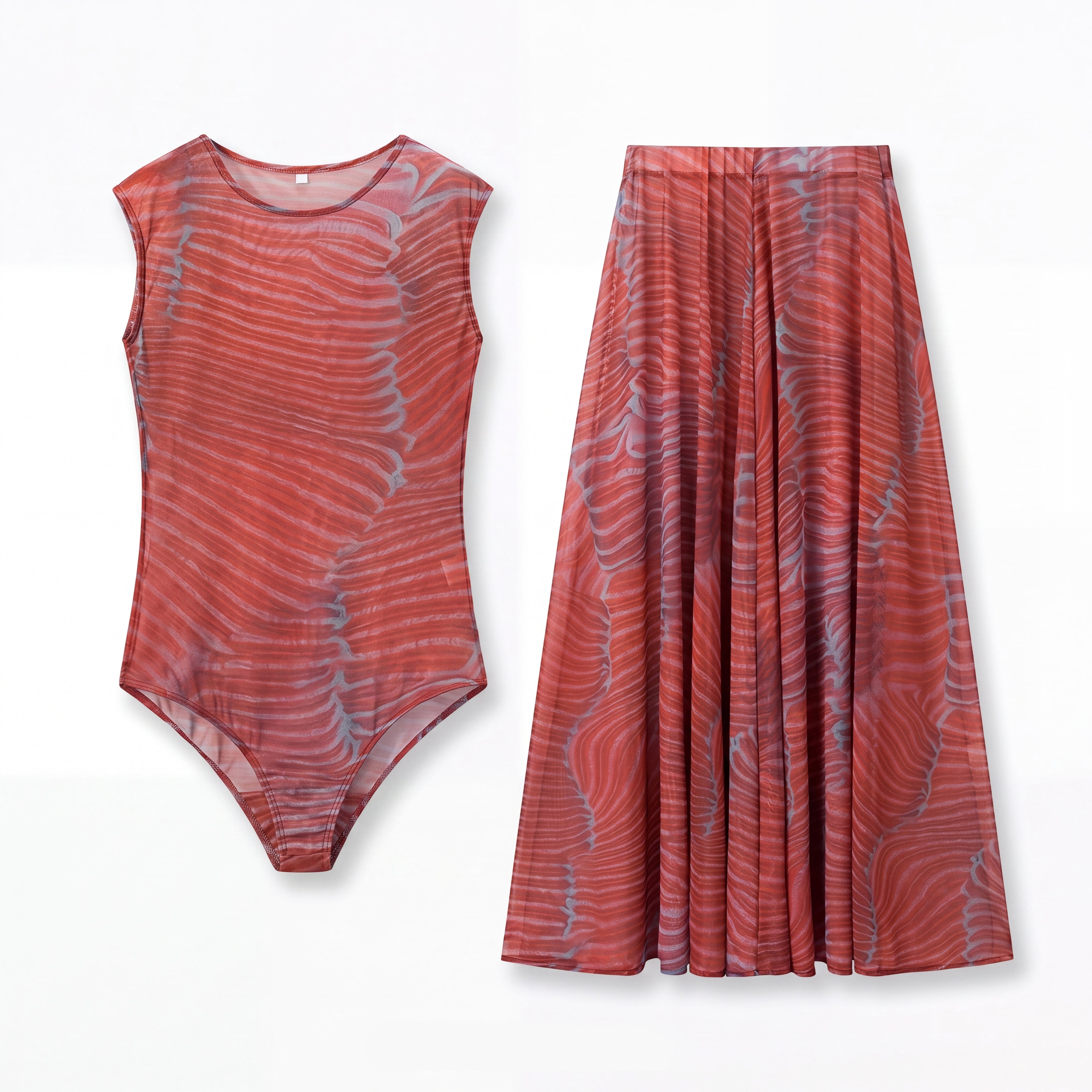 Pahuac Print Sheer Mesh Dress Two Piece Set